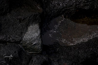 20211229-SMO_0359