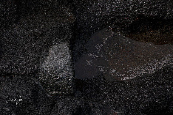 20211229-SMO_0359