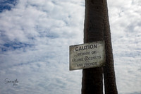 20211229-SMO_0556