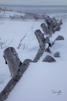 20230124-SMO_3335