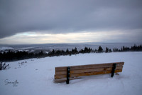 20230124-SMO_3339