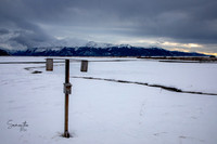 20230124-SMO_3371
