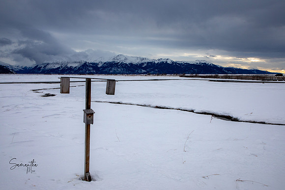 20230124-SMO_3371
