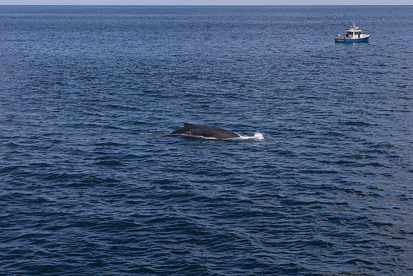 AA6A6719