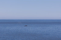 AA6A6283