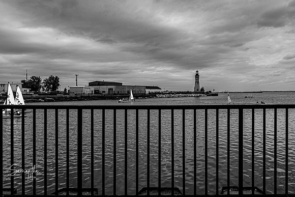 Buffalo-27