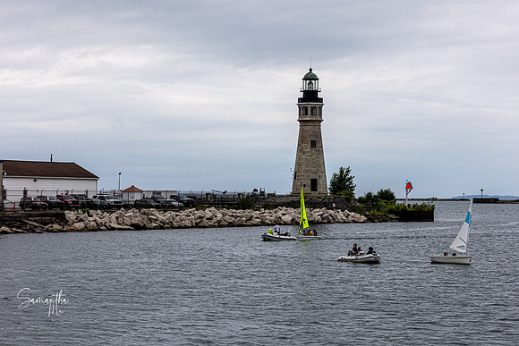 Buffalo-26