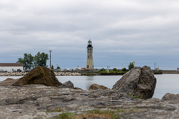 Buffalo-58