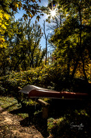 20221022-SMO_2558