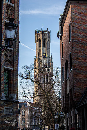 IMG_1481