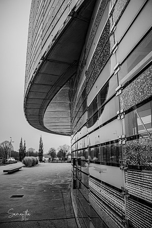 IMG_1362