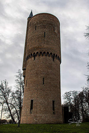 IMG_1712