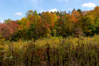 Conservation Trail-36