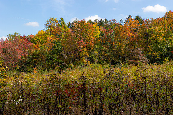 Conservation Trail-36