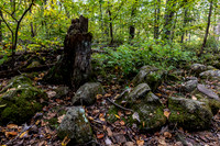 Conservation Trail-48