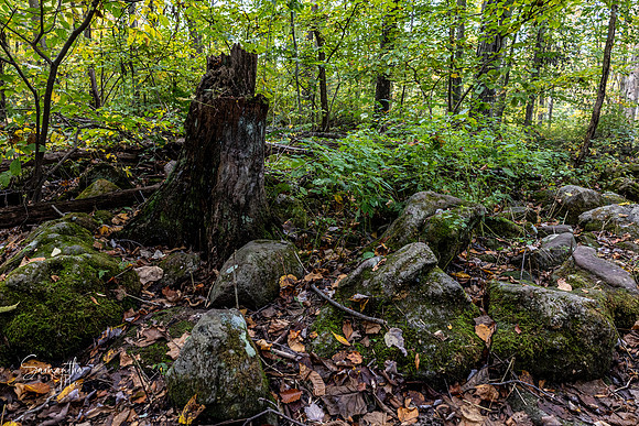 Conservation Trail-48