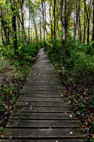 Conservation Trail-55