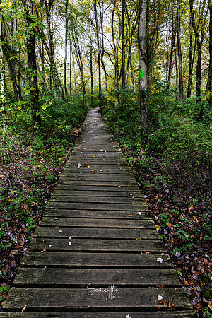 Conservation Trail-55
