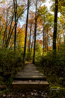 Conservation Trail-26