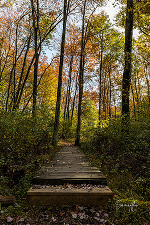 Conservation Trail-26