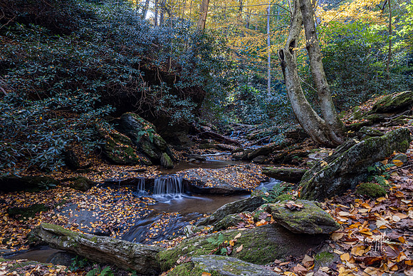 Lock 12-557-HDR