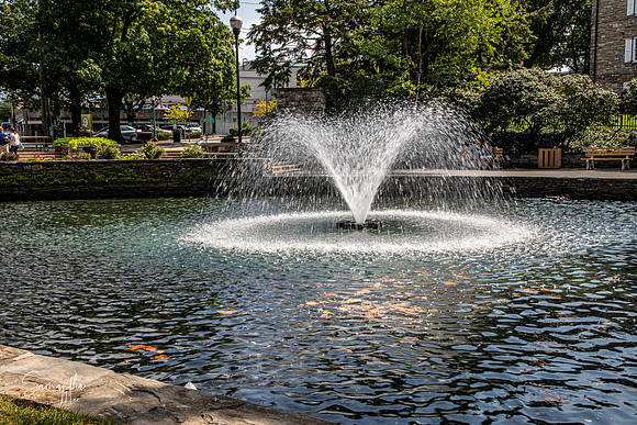 SMO_8450-HDR