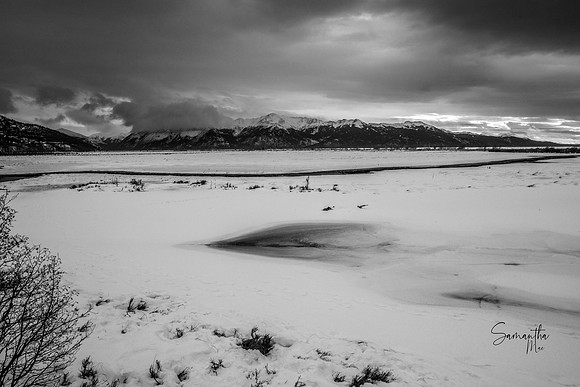 20230124-SMO_3477