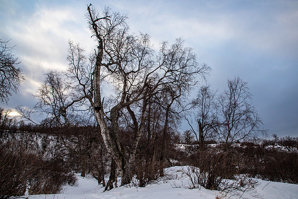 20230124-SMO_3529