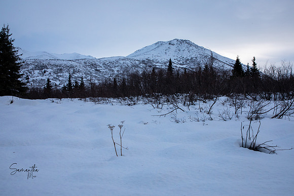 20230125-SMO_3798