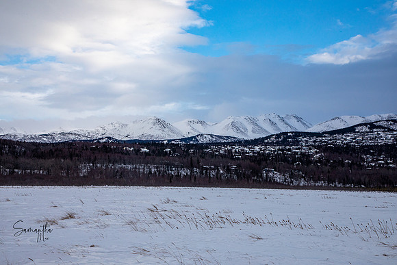 20230124-SMO_3449