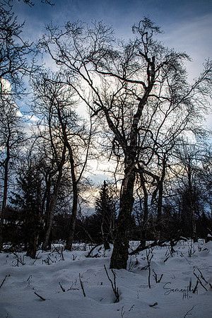 20230124-SMO_3545