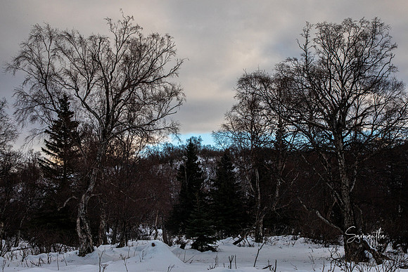20230124-SMO_3550