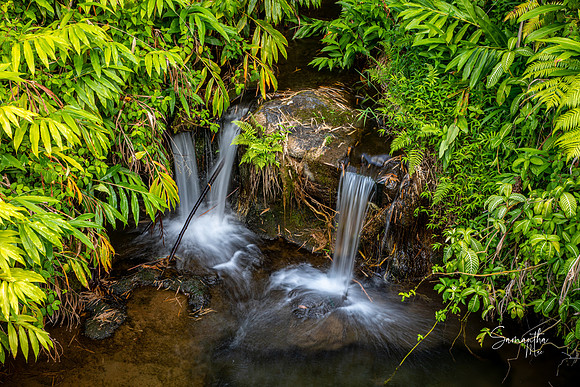 SMO_7506-HDR