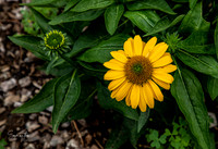 8Y5A2403