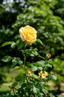 8Y5A2347
