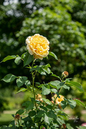 8Y5A2347