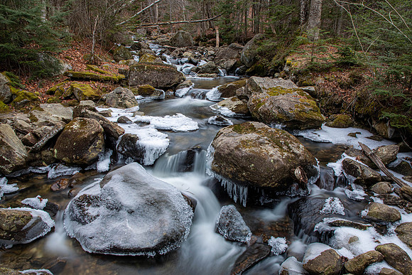 20211125-SMO_0937-HDR