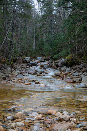 20211126-SMO_1073-2