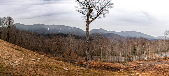 white mountains