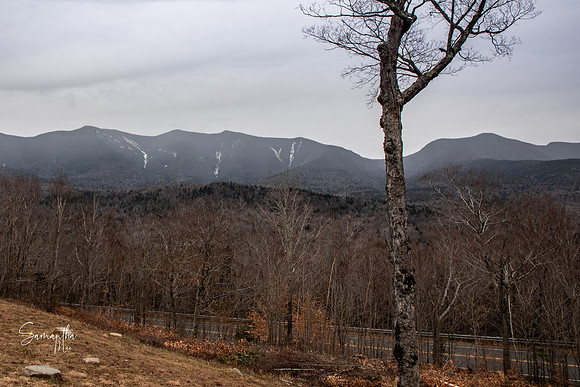 20211126-SMO_1192-HDR