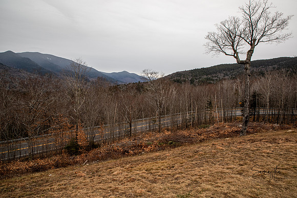 20211126-SMO_1143-HDR