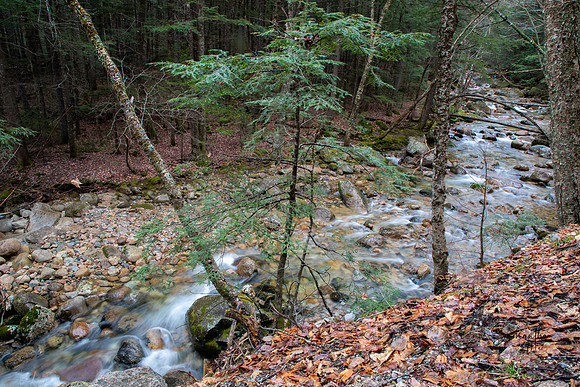 20211126-SMO_1306-HDR