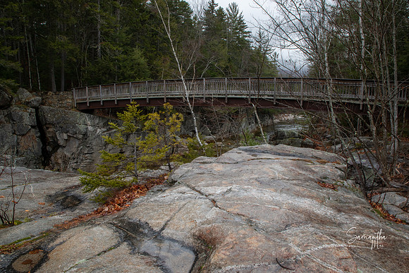 20211126-SMO_1410-HDR