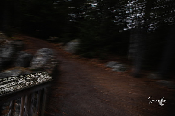 20211126-SMO_1449
