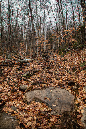 20211126-SMO_1477