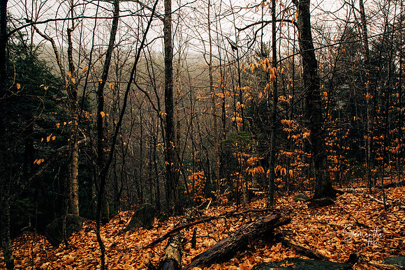 20211126-SMO_1480