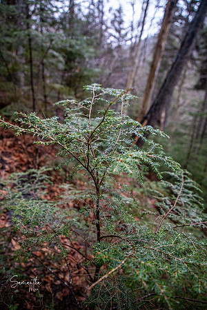 20211126-SMO_1585