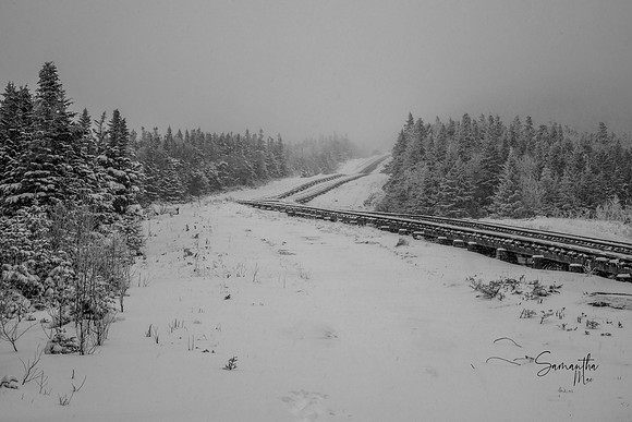 20211127-SMO_9874