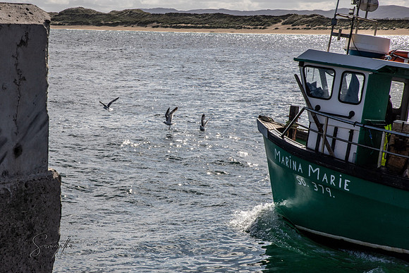 8Y5A4772