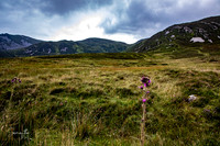 Ireland